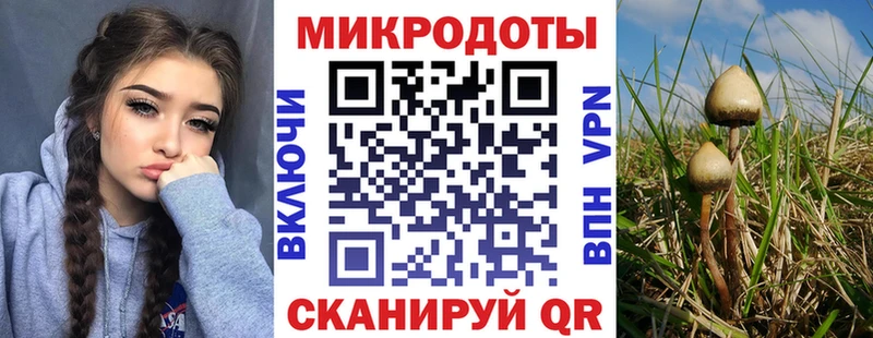 Галлюциногенные грибы GOLDEN TEACHER  наркота  Темников 